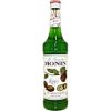 monin kiwi-228x228