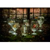 speciaalbier-glas-bekende-bierglazen-pakket